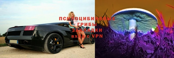 прущая мука Каменногорск