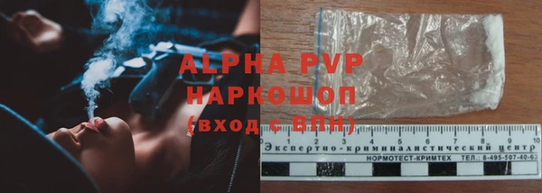 гашик Зеленокумск