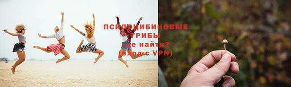 гашик Зеленокумск
