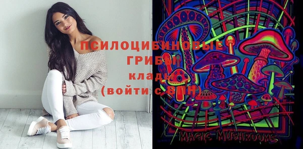 гашик Зеленокумск