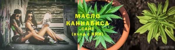 гашик Зеленокумск