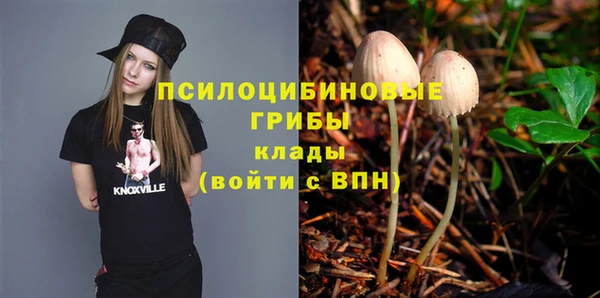 гашик Зеленокумск