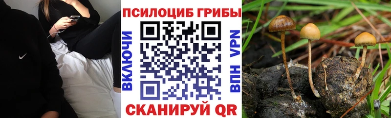 Галлюциногенные грибы мухоморы  Купить где  Белебей 